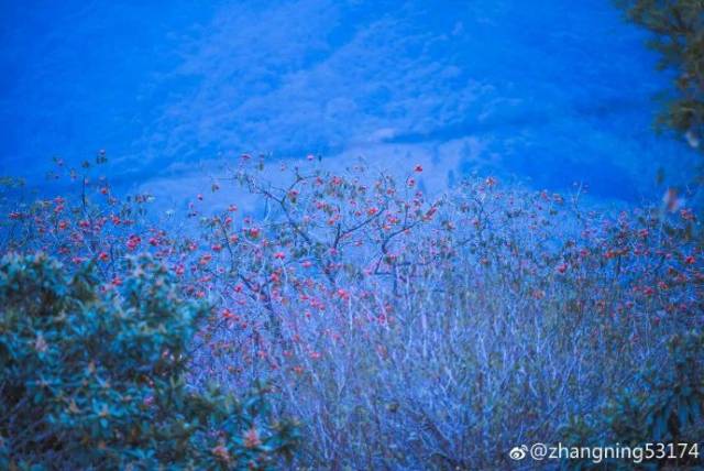 广州|太养眼！极美秋色藏在这里……