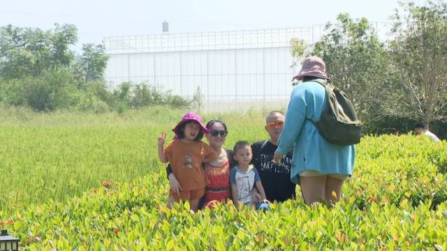 文明|停车有序、环境整洁…河源景区文明旅游氛围浓厚