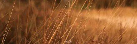 广州|太养眼！极美秋色藏在这里……