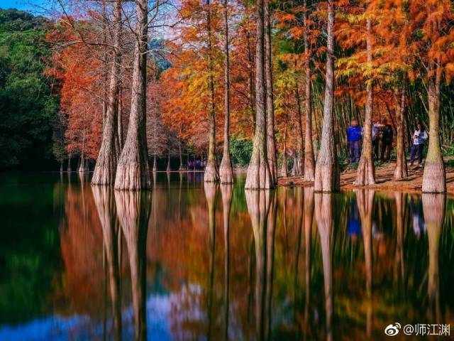 广州|太养眼！极美秋色藏在这里……