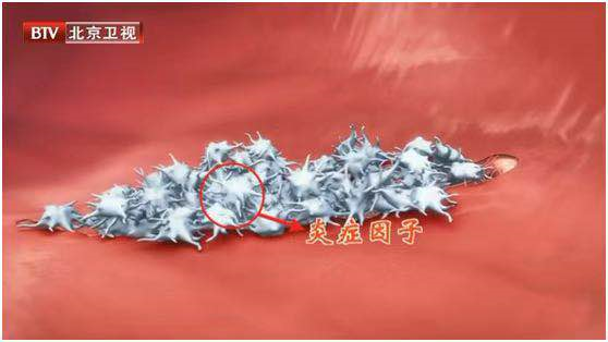 进食|“少吃点，更长寿！”双节期间，这句话请牢记！