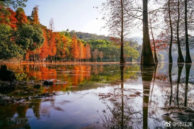 广州|太养眼！极美秋色藏在这里……
