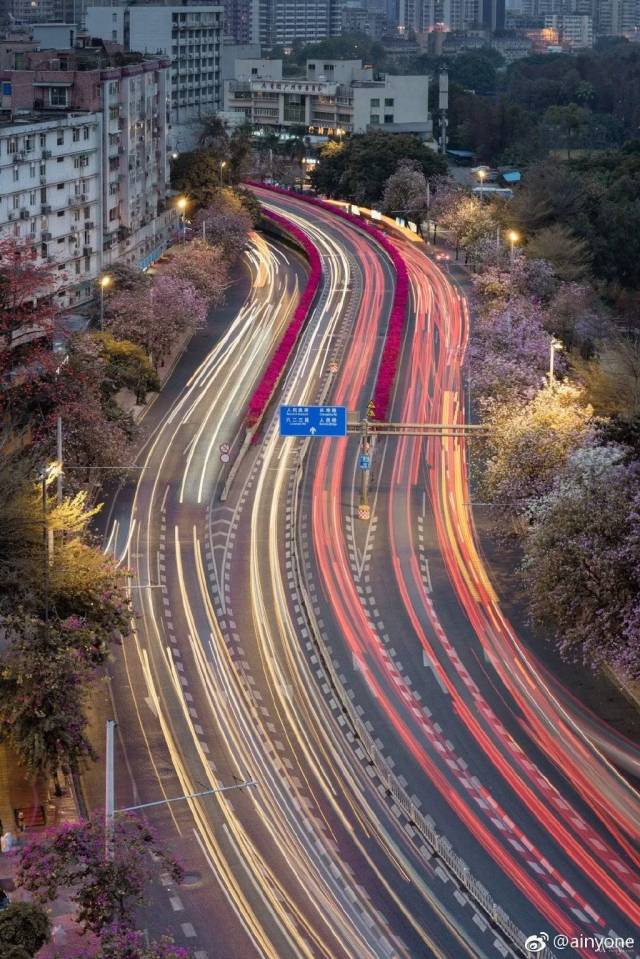 广州|太养眼！极美秋色藏在这里……