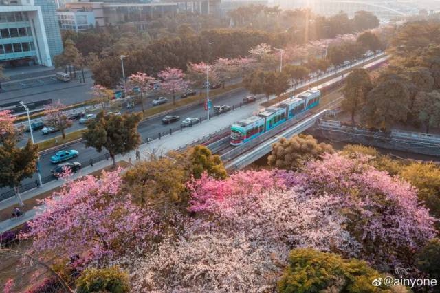广州|太养眼！极美秋色藏在这里……