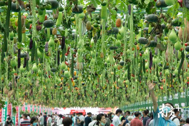 广州|南方拍客看广东|一周精选 美好的假期