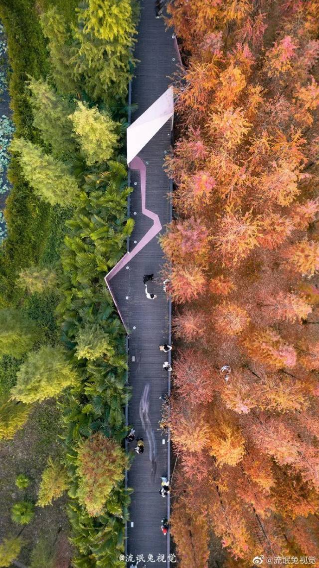 广州|太养眼！极美秋色藏在这里……