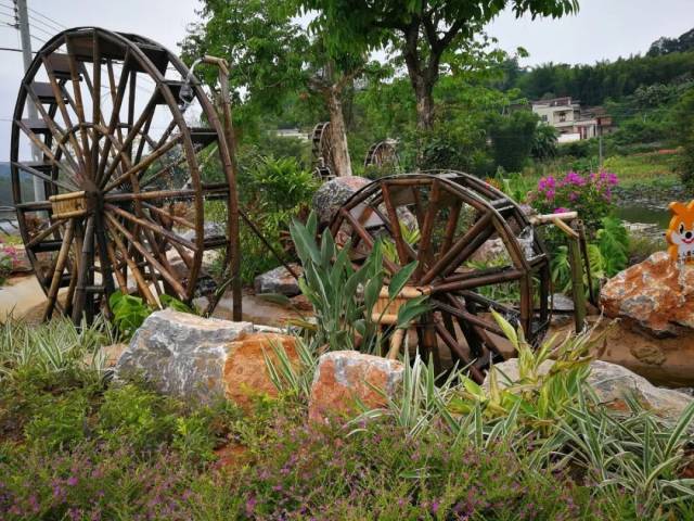 文化|吃喝玩乐、乡愁野趣.....你想要的乡村旅游线路，肇庆全都有！