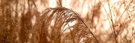 广州|太养眼！极美秋色藏在这里……