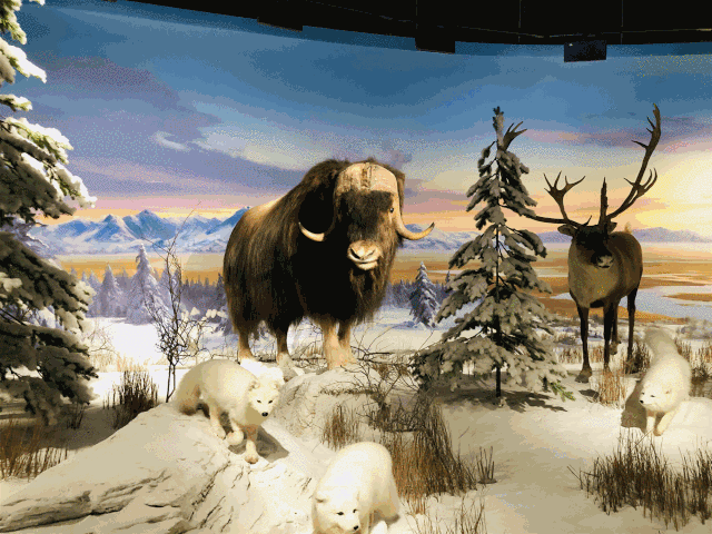 云南|去彩云之南，看星辰大“海”