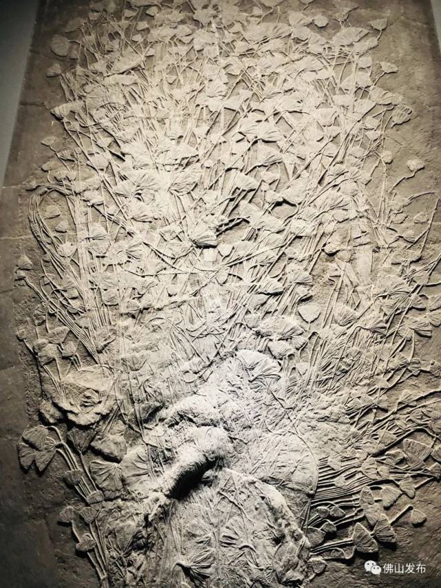 云南|去彩云之南，看星辰大“海”