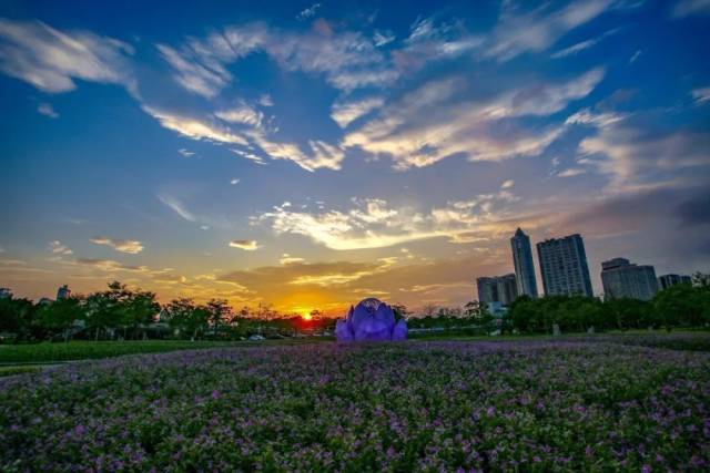 服务|北京路多了家“爱心屋”，二沙岛建了座“加油站”！眼尖的你发现了吗？