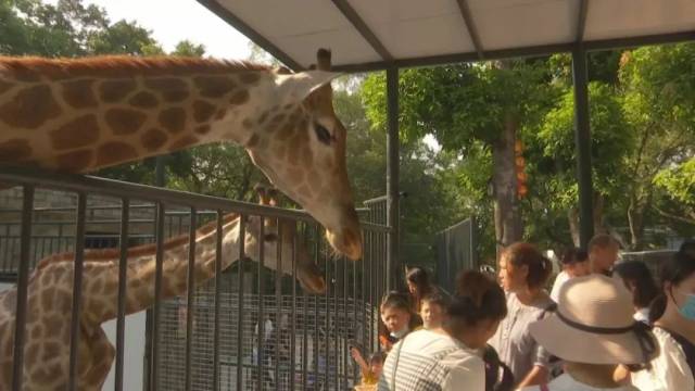 游客|假期出游哪里去？我市各大公园生态园成“网红”打卡地