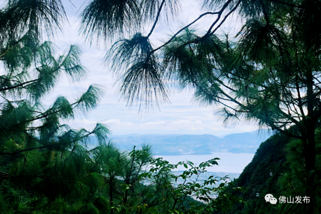 云南|去彩云之南，看星辰大“海”