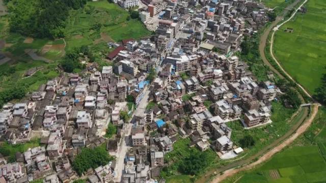 农村|嘟嘟嘟……赶紧上车！这里风光无限，带你游走醉美肇庆山水间！