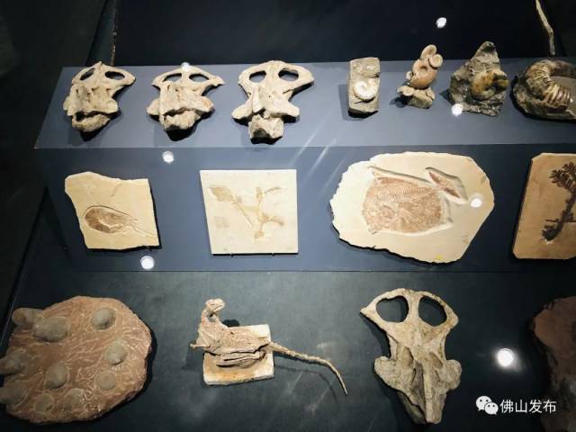 云南|去彩云之南，看星辰大“海”