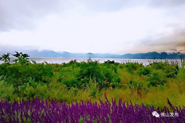 云南|去彩云之南，看星辰大“海”