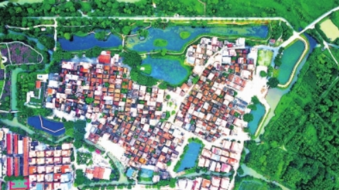 沙水村航拍图。 李仁生/摄 沙水村航拍图。 李仁生/摄