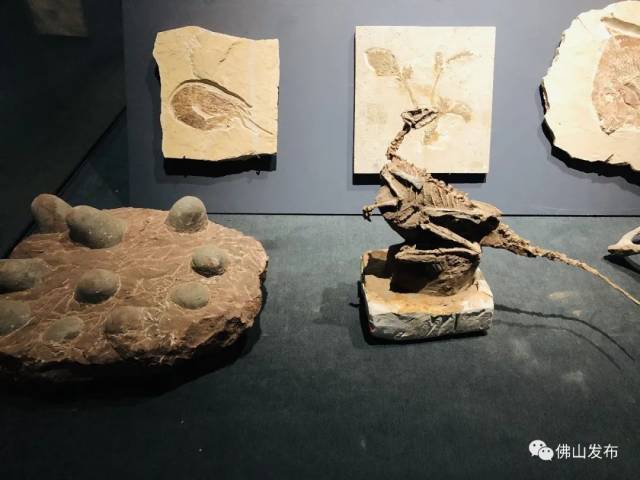 云南|去彩云之南，看星辰大“海”