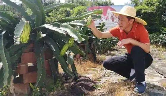 工作|“爸爸驻村第5年，你从小学生变成了高中生，时间飞快啊”