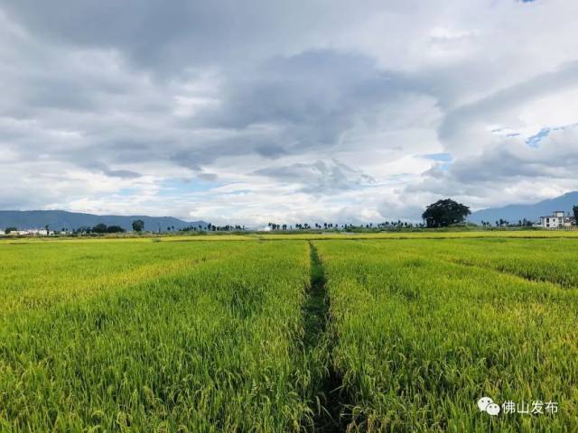 云南|去彩云之南，看星辰大“海”