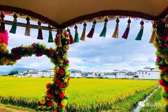 云南|去彩云之南，看星辰大“海”