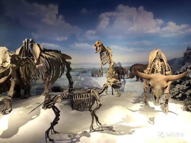 云南|去彩云之南，看星辰大“海”