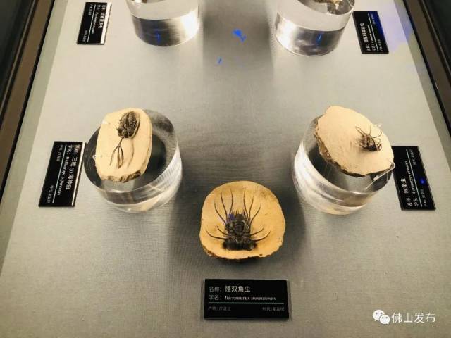 云南|去彩云之南，看星辰大“海”