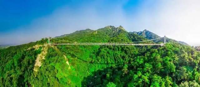 番石榴|森林探险、观赏鹭鸟、采摘番石榴...南山太好玩啦！