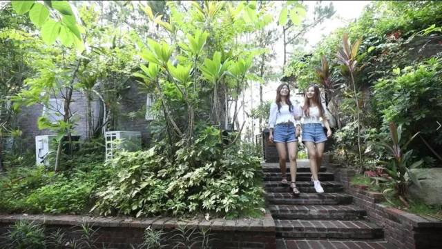 番石榴|森林探险、观赏鹭鸟、采摘番石榴...南山太好玩啦！