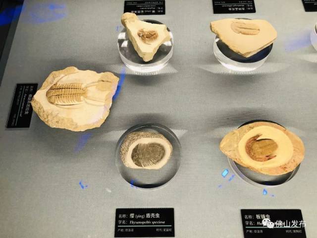 云南|去彩云之南，看星辰大“海”