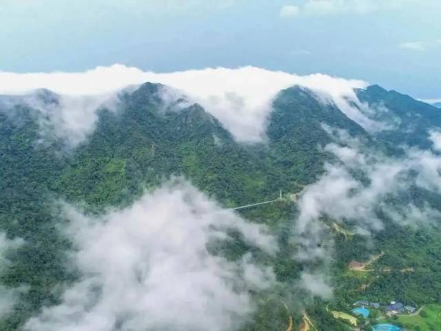 番石榴|森林探险、观赏鹭鸟、采摘番石榴...南山太好玩啦！