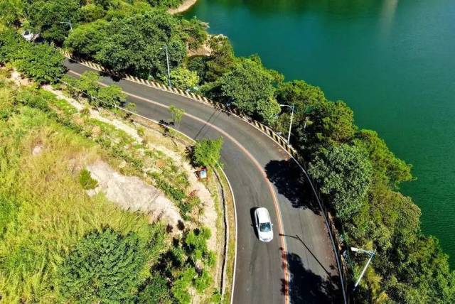 农村|嘟嘟嘟……赶紧上车！这里风光无限，带你游走醉美肇庆山水间！