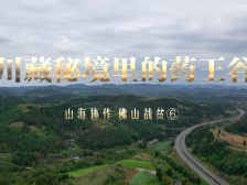 视频：川藏秘境里的药王谷｜山海协作 佛山战贫⑥