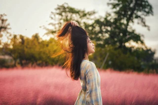 公园|粉了！4个足球场大小，超唯美免费赏，来佛山这些地方赏浪漫粉色花海！