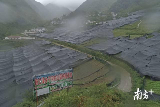 干沟村。戴嘉信 摄