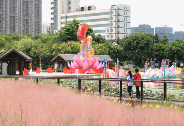 公园|粉了！4个足球场大小，超唯美免费赏，来佛山这些地方赏浪漫粉色花海！