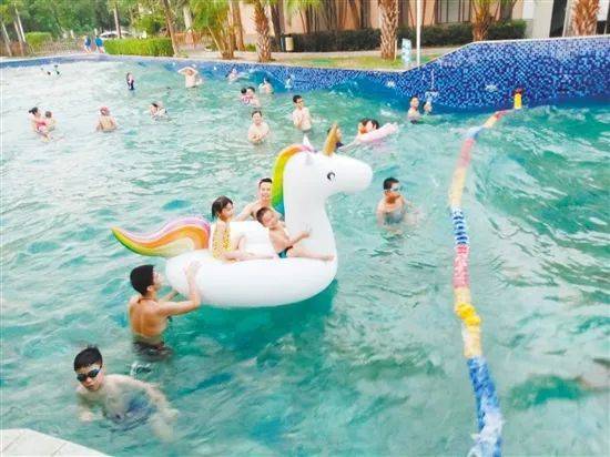 项目|扩散！江门交警最新提醒：这样开车，罚款200记6分！| 早安，江门