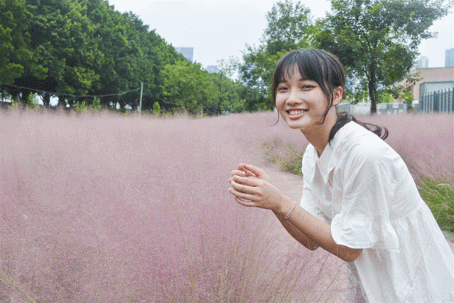 公园|粉了！4个足球场大小，超唯美免费赏，来佛山这些地方赏浪漫粉色花海！