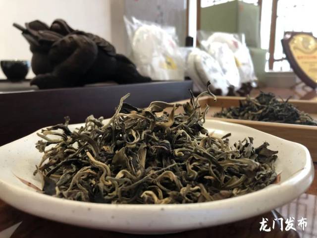 种植|【大山经济】龙门：做大做强茶产业 打造粤港澳大湾区“茶叶罐”