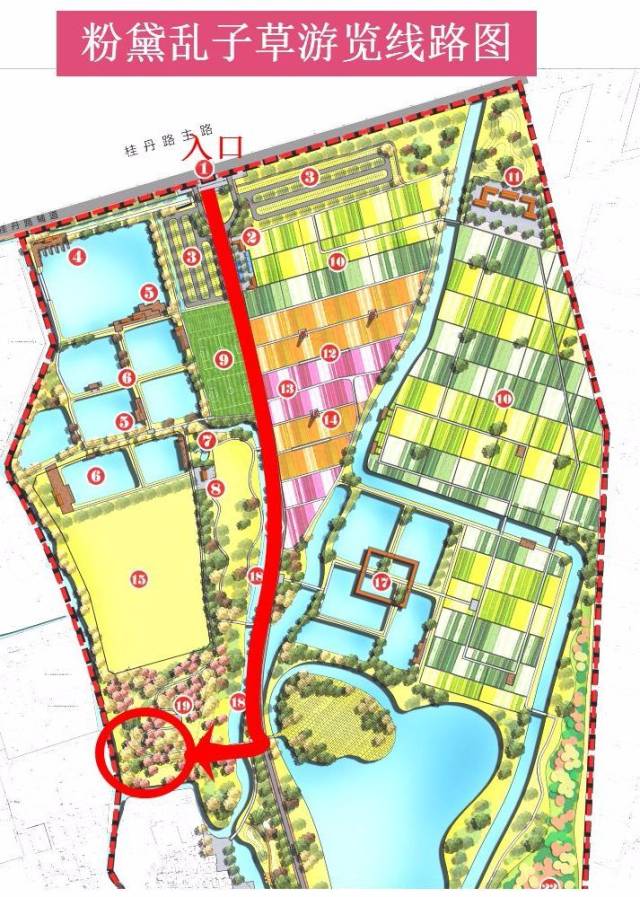 公园|粉了！4个足球场大小，超唯美免费赏，来佛山这些地方赏浪漫粉色花海！
