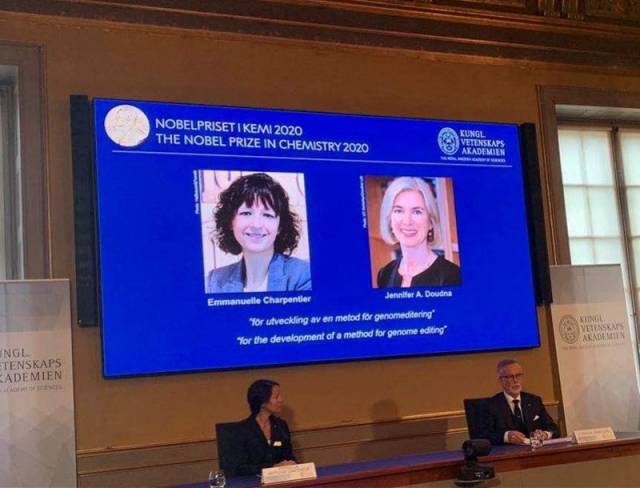 基因|基因编辑“魔剪”获诺贝尔化学奖，这2位女性得主啥来头？