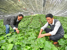 视频：“生死线”上的产业奇迹｜山海协作 佛山战贫⑦