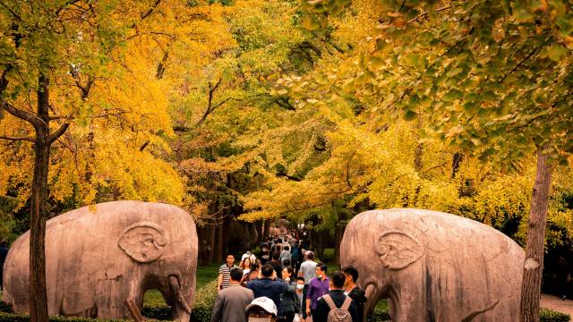 拍客|南方拍客|旅拍精选 假期旅途好风光①