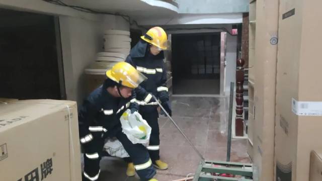 蛇类|惊！“不速之客”扰民安，消防蜀黍化身“法海”收蛇！