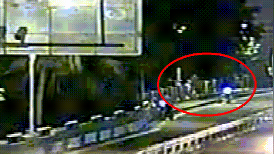 男子|20秒！他从10米高的桥上救下一条人命