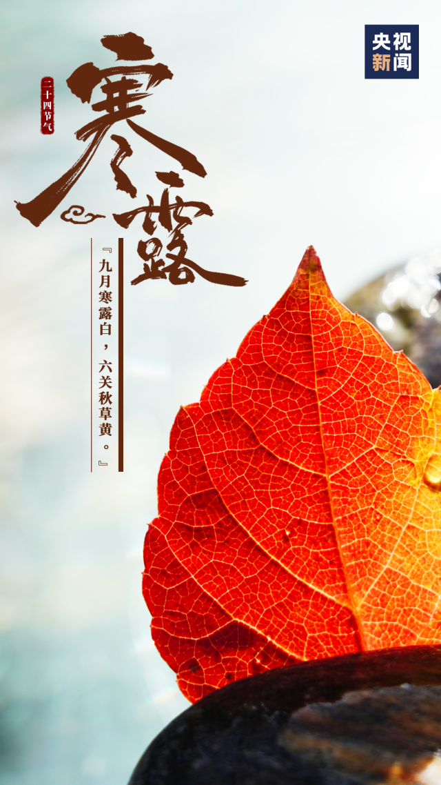 天气|今日寒露！长假余额不足，接下来长安的天气是……