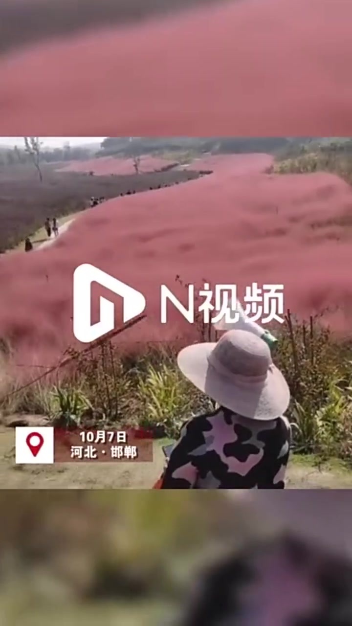 天鲲号|大湾区科创大赛特约·南方+早班车 | 黄金周广东“吸客”近半亿人次