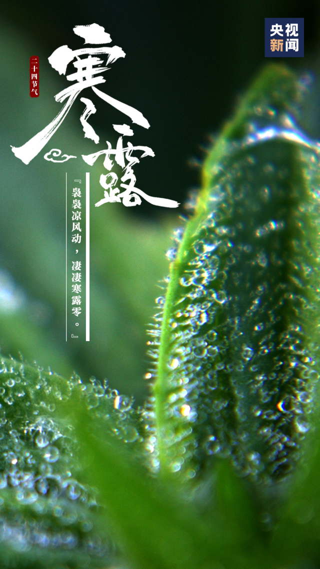 天气|今日寒露！长假余额不足，接下来长安的天气是……