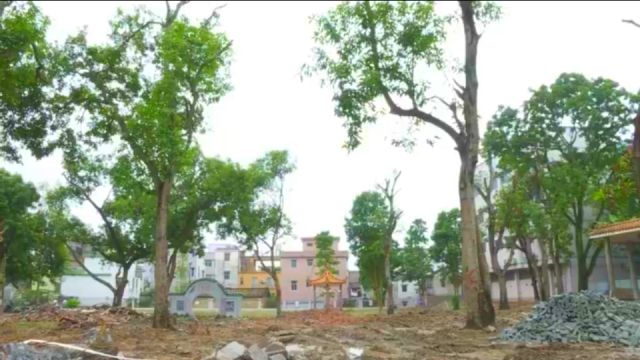 公园|新兴：中山公园全面升级改造 争取明年元旦完工并开放