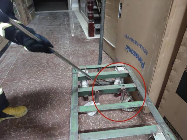 蛇类|惊！“不速之客”扰民安，消防蜀黍化身“法海”收蛇！